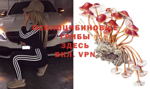 герыч Пересвет